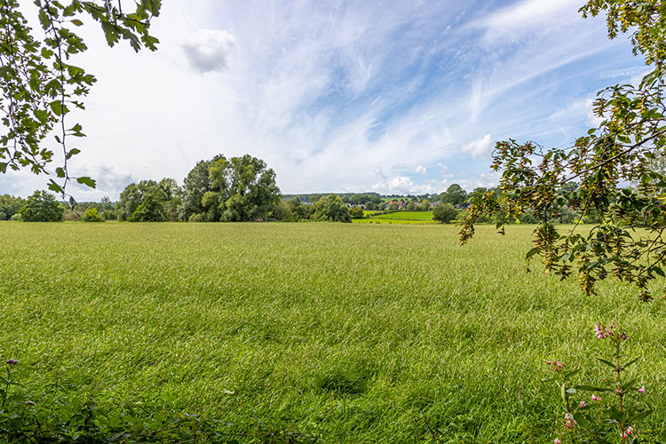 Wanderung in der näheren Umgebung (W1)